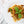 Load image into Gallery viewer, 'Mates Rates' x3 Smuggled Veggies Pack