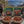 Discovery Duo Bundle